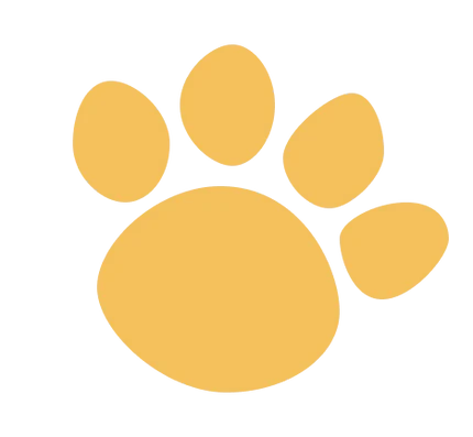 Pawli